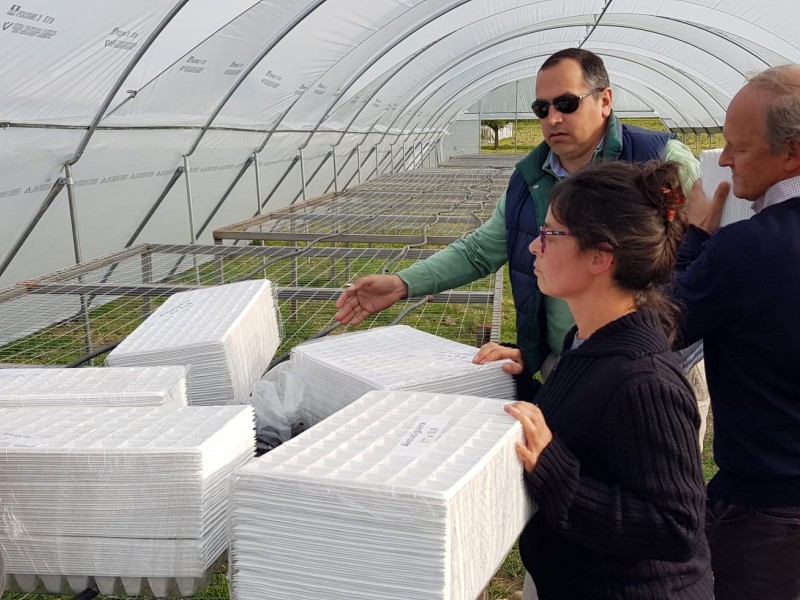 18_equipamiento_para_plantines