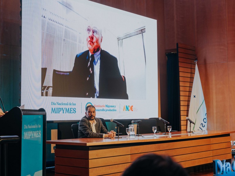 5_experto_internacional