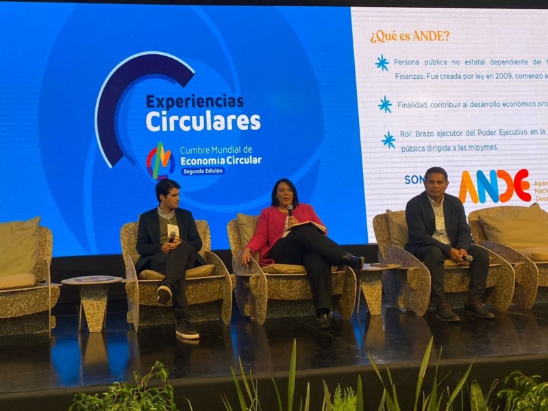 8._Exposicion_de_Carmen_sobre_ANDE_en_Cumbre_de_Economia_Circular_en_Cordoba