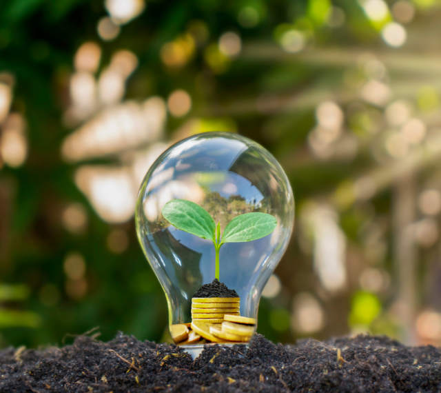 Valid&aacute; tu idea o incorpor&aacute; pr&aacute;cticas circulares en tu negocio